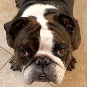 Meet your Posher, Taylor